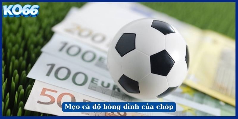 Mẹo cá độ bóng đỉnh của chóp