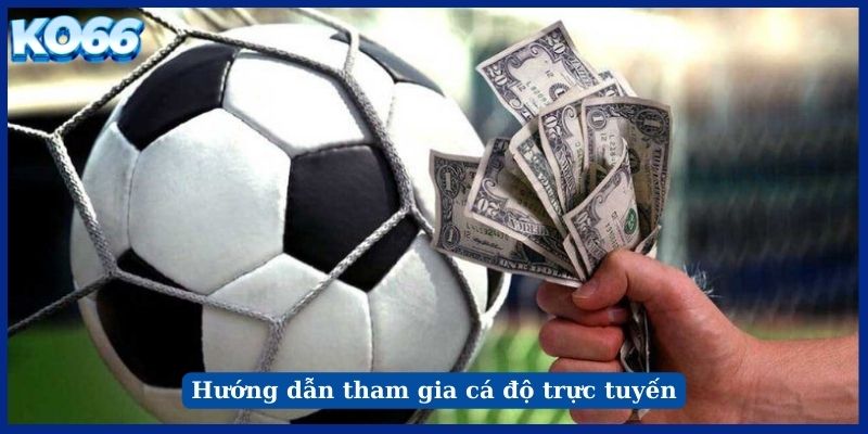 Hướng dẫn tham gia cá độ trực tuyến