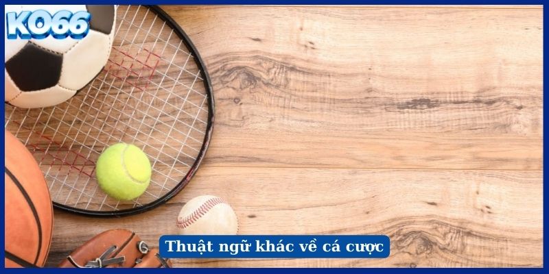 Thuật ngữ khác về cá cược