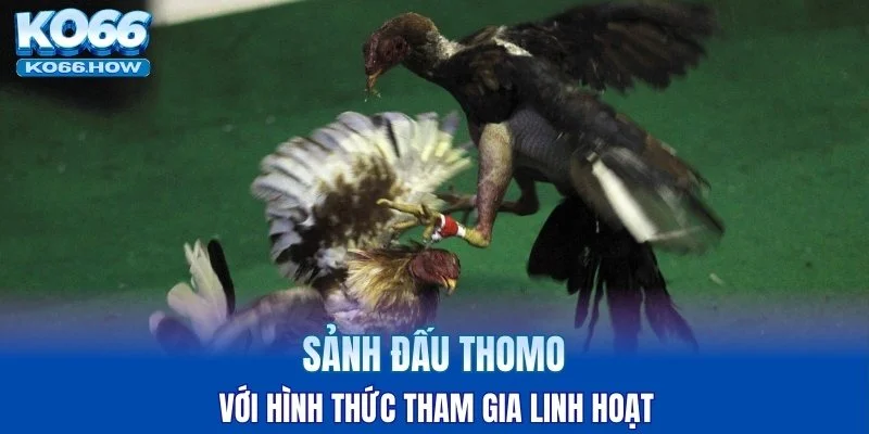 Sảnh đấu Thomo với hình thức tham gia linh hoạt